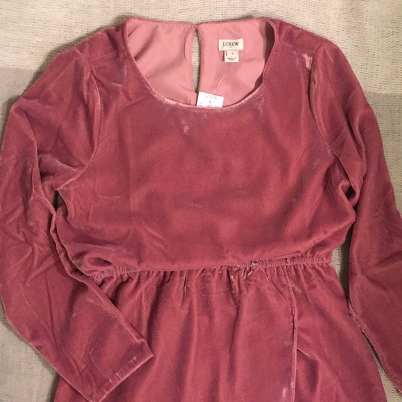 J. Crew Velvet Dress - Picture 3 of 8